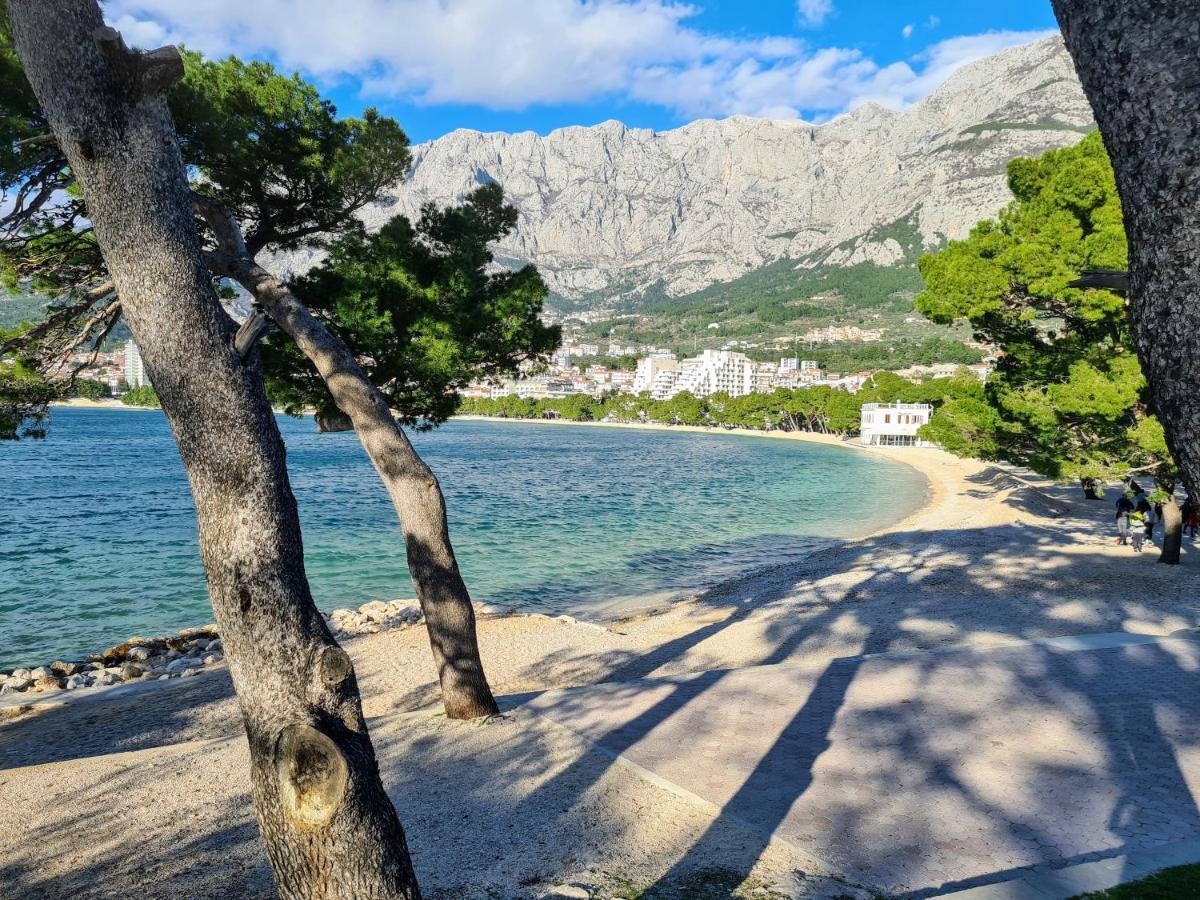 Apartment Ivona With Beautiful Seaview Makarska Kültér fotó