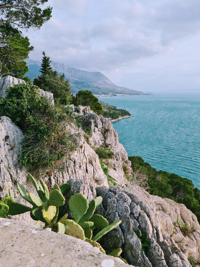 Apartment Ivona With Beautiful Seaview Makarska Kültér fotó